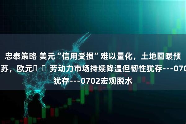 忠泰策略 美元“信用受损”难以量化，土地回暖预示下半年复苏，欧元​​劳动力市场持续降温但韧性犹存---0702宏观脱水