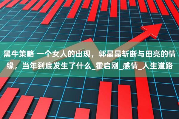 黑牛策略 一个女人的出现，郭晶晶斩断与田亮的情缘，当年到底发生了什么_霍启刚_感情_人生道路